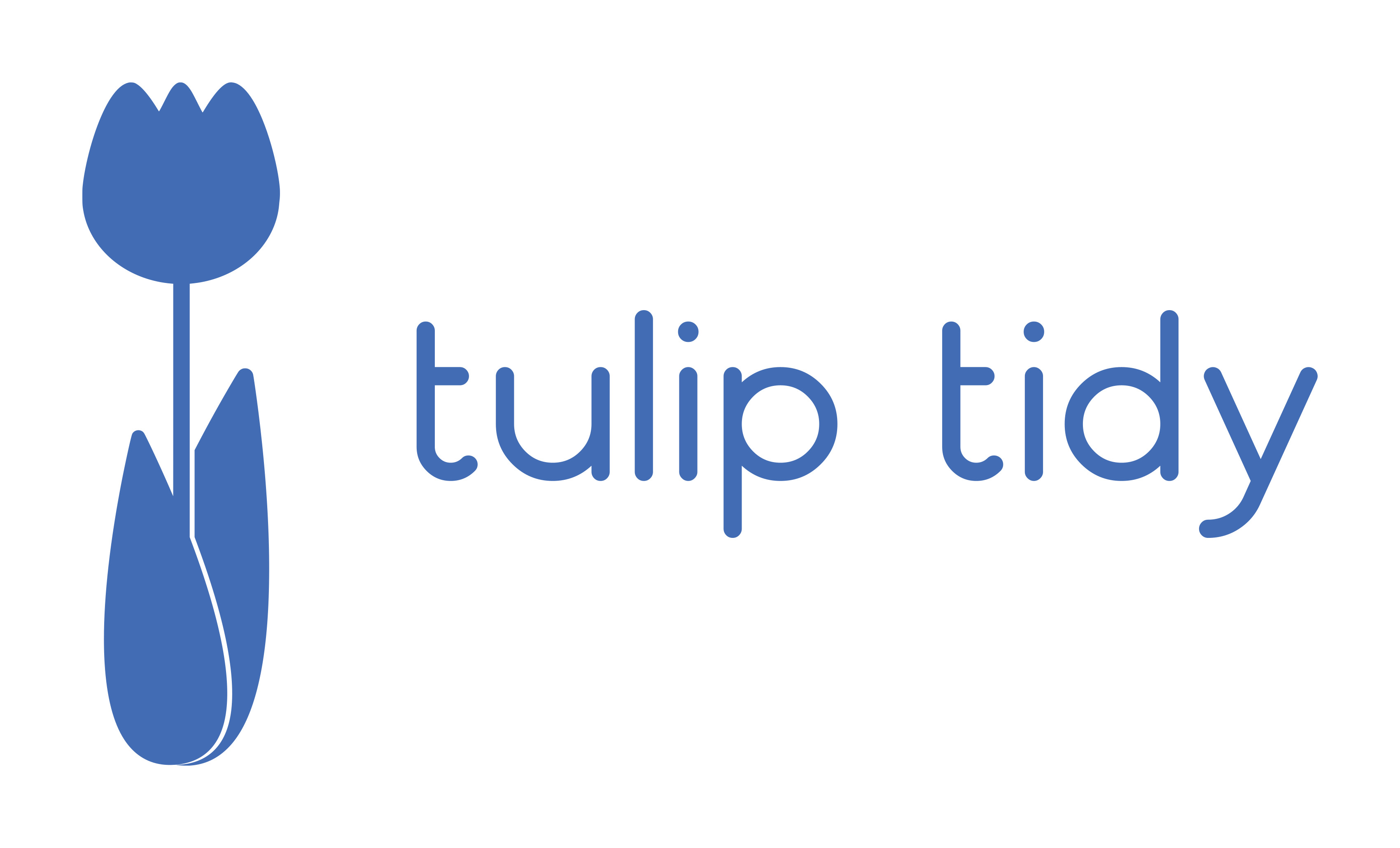 Tulip Tidy